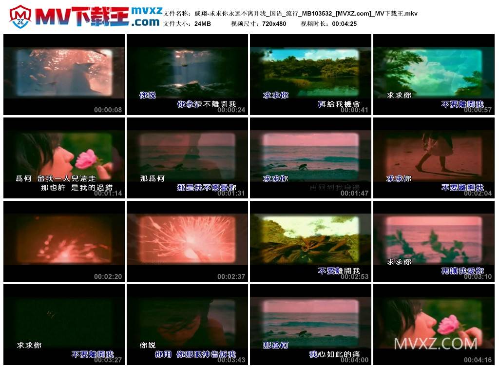 戚翔-求求你永远不离开我_国语_流行_MB103532